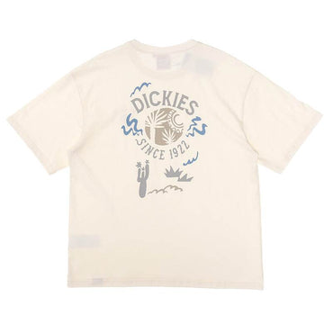 Футболка мужская Dickies - Boxette Shop