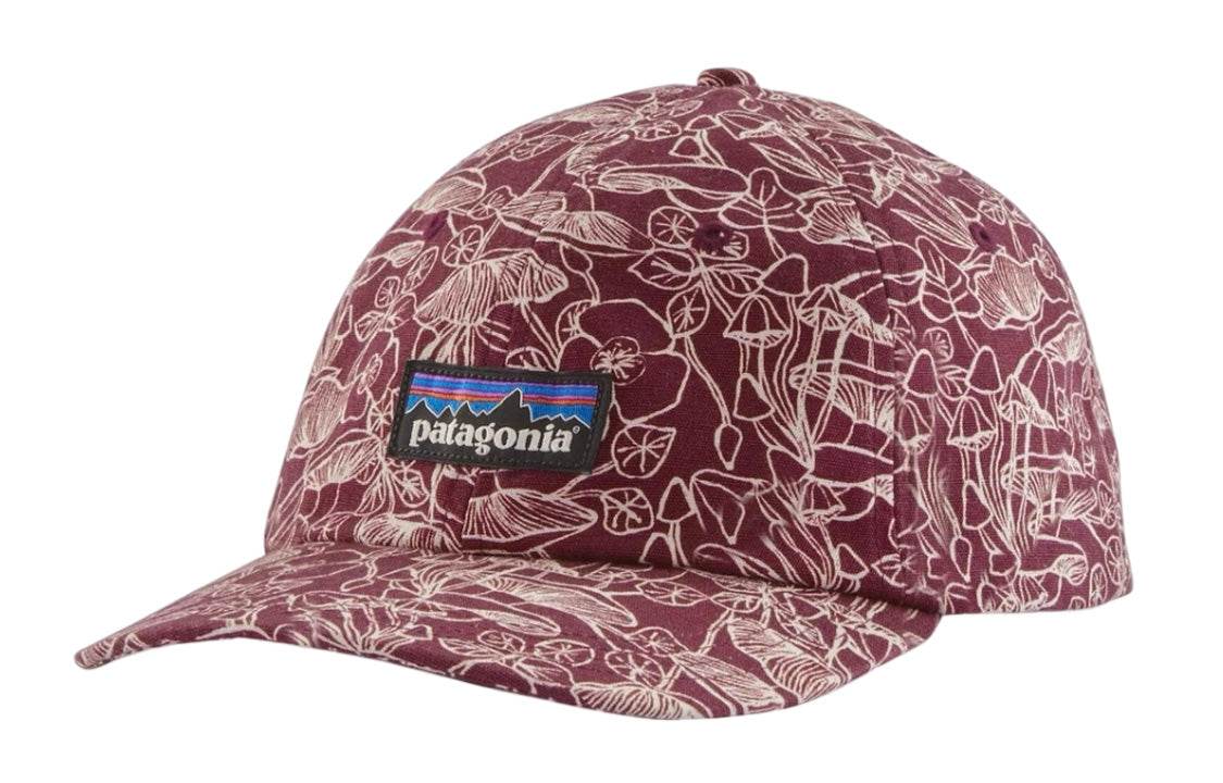 Кепка Patagonia Everyday Duckbill - Boxette Shop