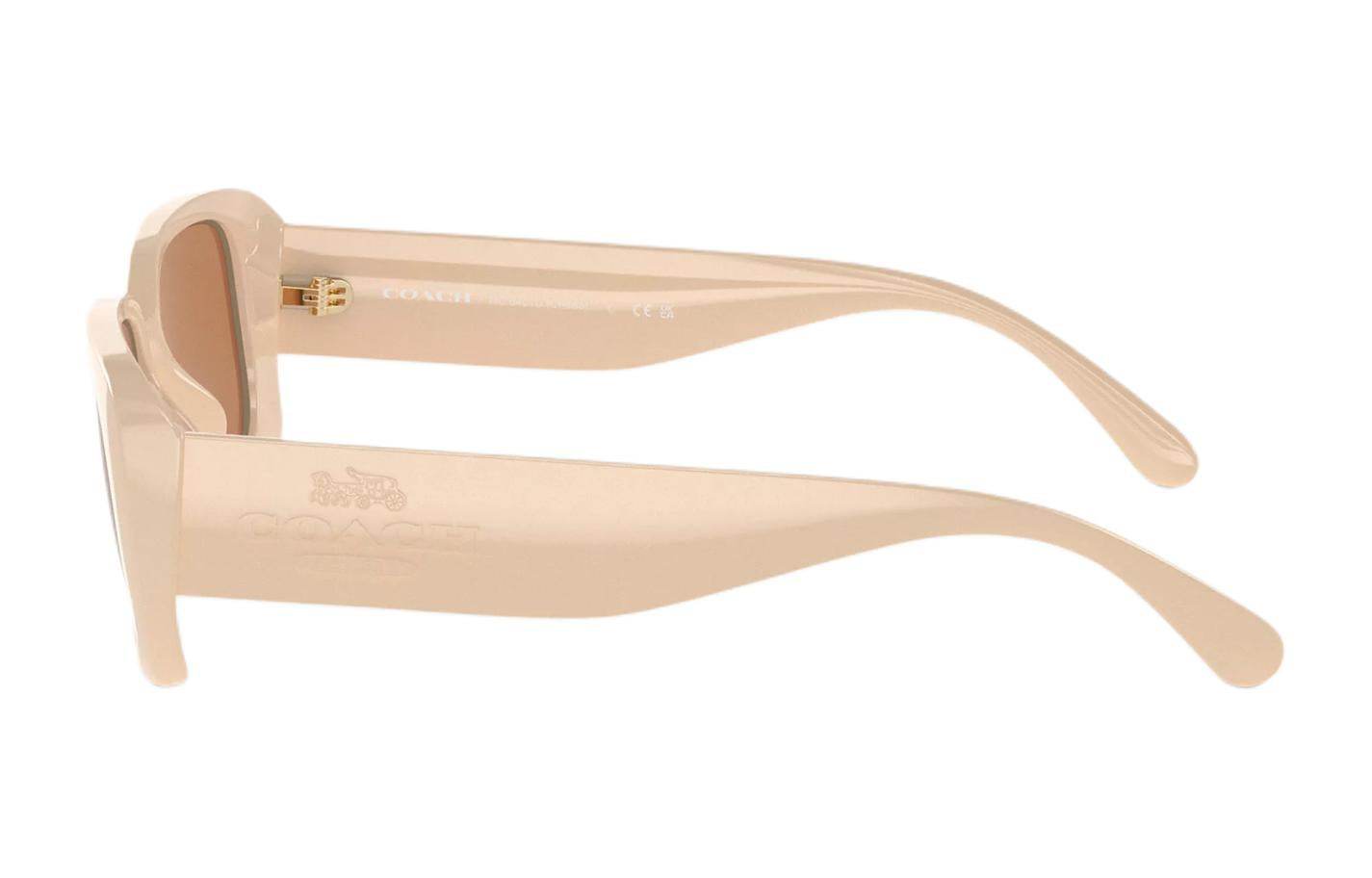 Солнцезащитные очки женские Coach - Boxette Shop