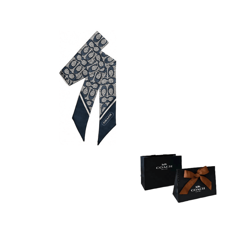 Платок женский Coach - Boxette Shop