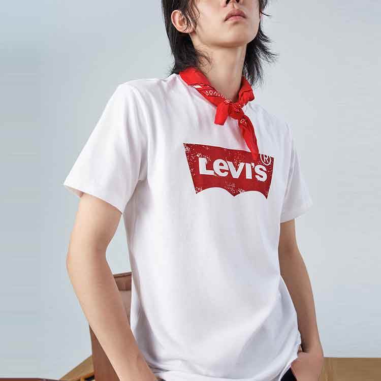 Футболка мужская Levi's Classic Logo - Boxette Shop