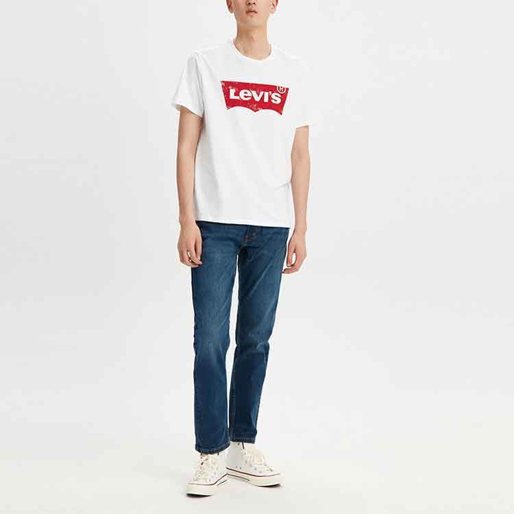 Футболка мужская Levi's Classic Logo - Boxette Shop
