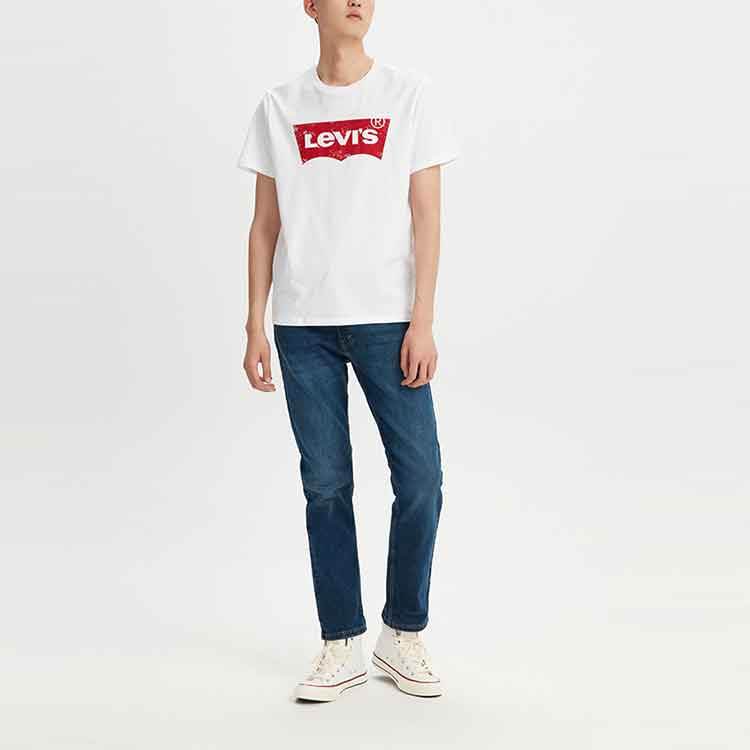 Футболка мужская Levi's Classic Logo - Boxette Shop
