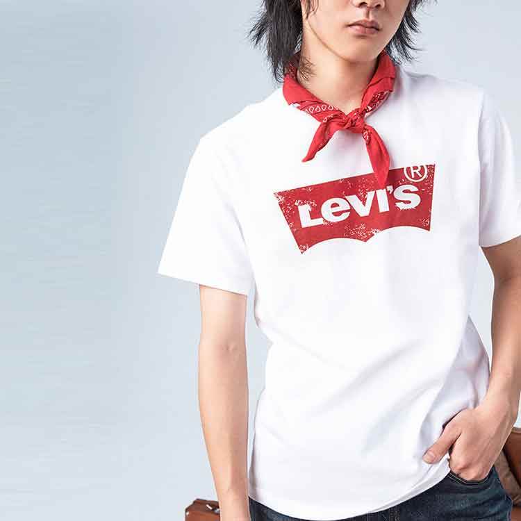 Футболка мужская Levi's Classic Logo - Boxette Shop