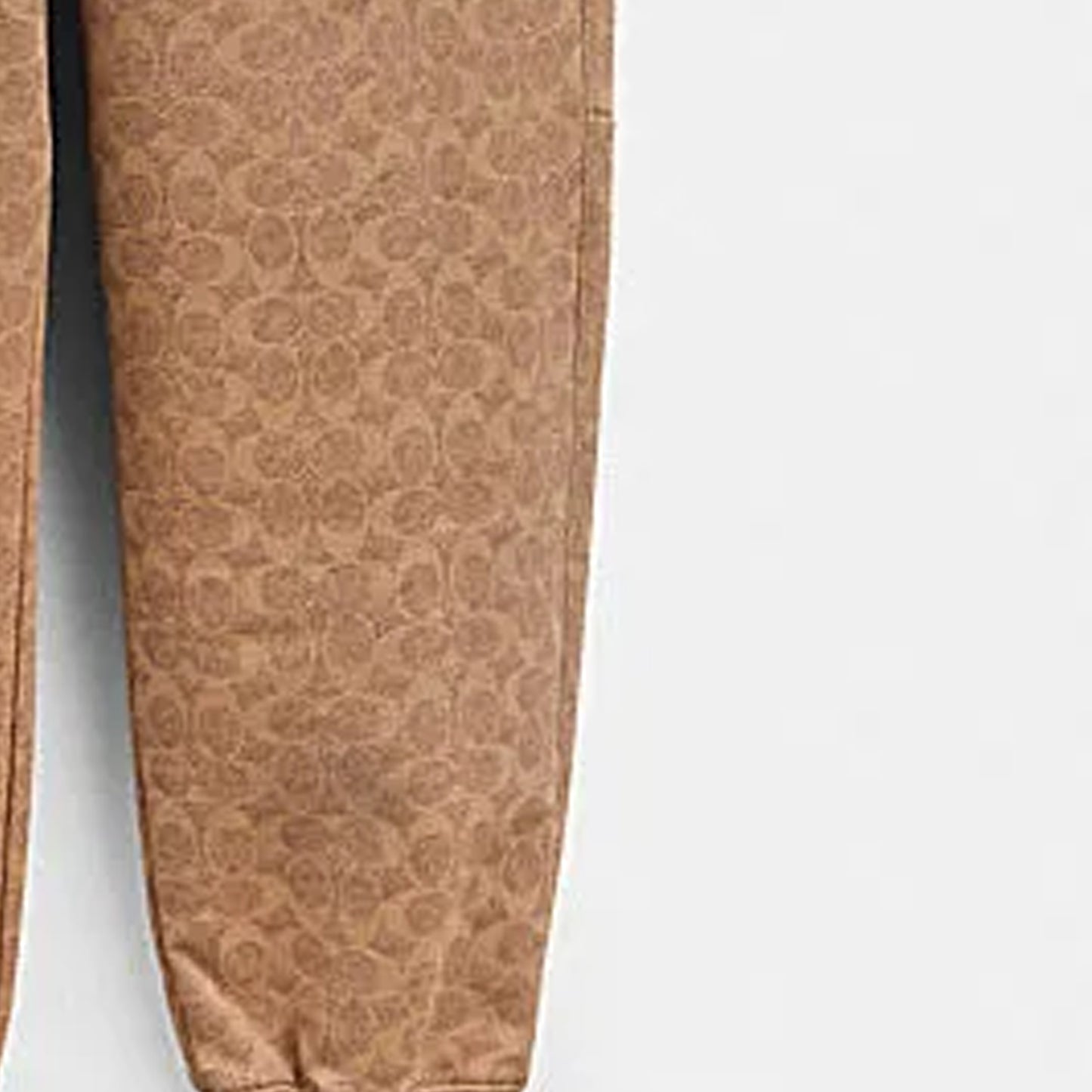 Брюки мужские Coach Ss24