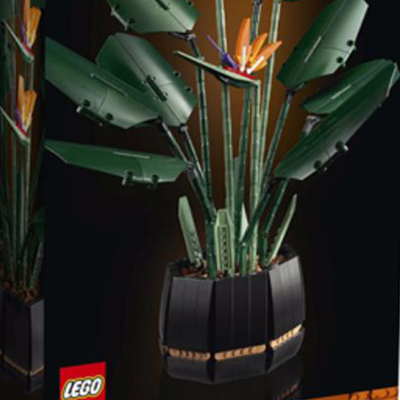 LEGO konstruktori "Jannat qushlari guldastasi" (10289)
