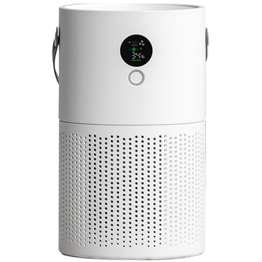 Очиститель воздуха Bures GXZ-AP01