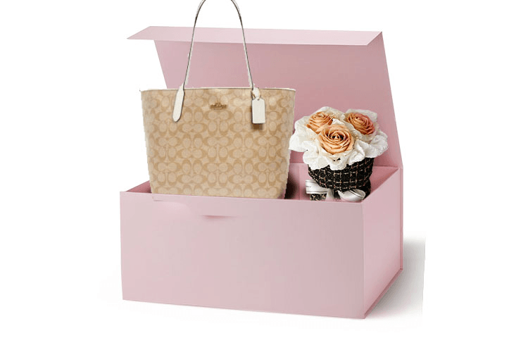 Сумка женская Coach City 33 - Boxette Shop