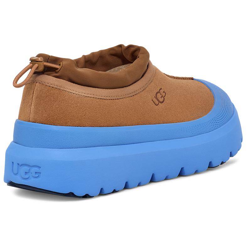 Ботинки UGG - Boxette Shop