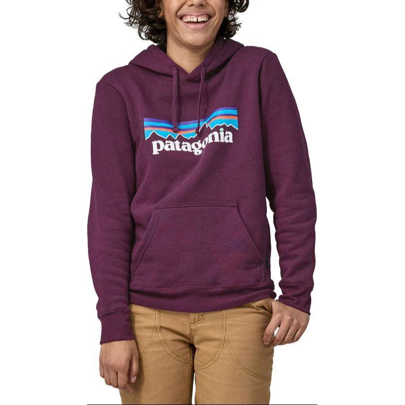 Худи Patagonia SS22