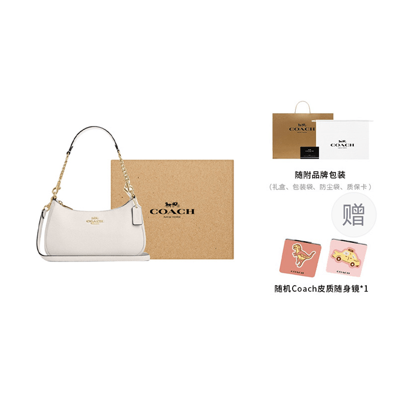 Сумка женская Coach Teri 25 Metal Logo Zip Closure - Boxette Shop