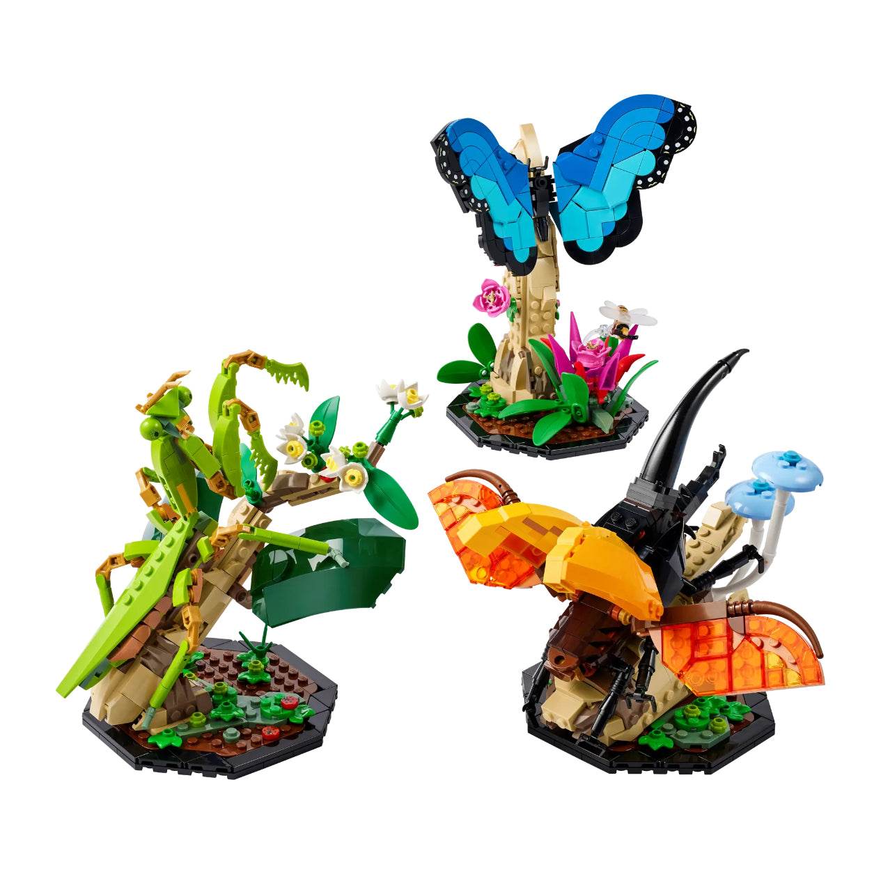 Конструктор LEGO The Insect Collection (21342-1) - Boxette Shop