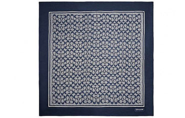 Платок женский Coach - Boxette Shop