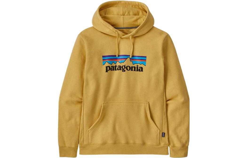 Худи Patagonia SS22