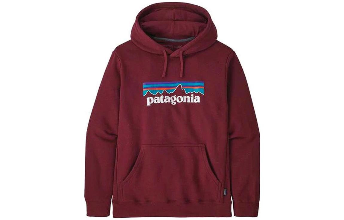 Худи Patagonia SS22