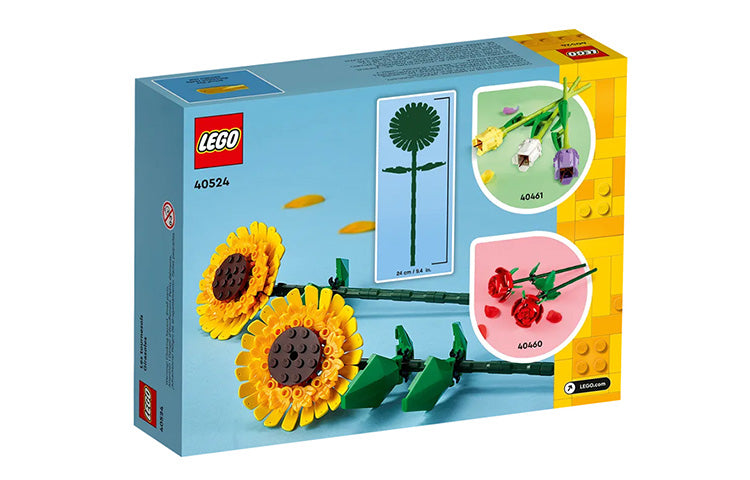 LEGO Classic kungaboqar (40524)