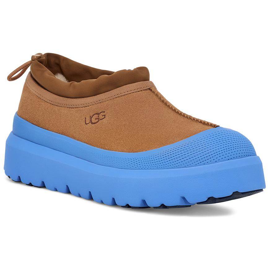Ботинки UGG - Boxette Shop