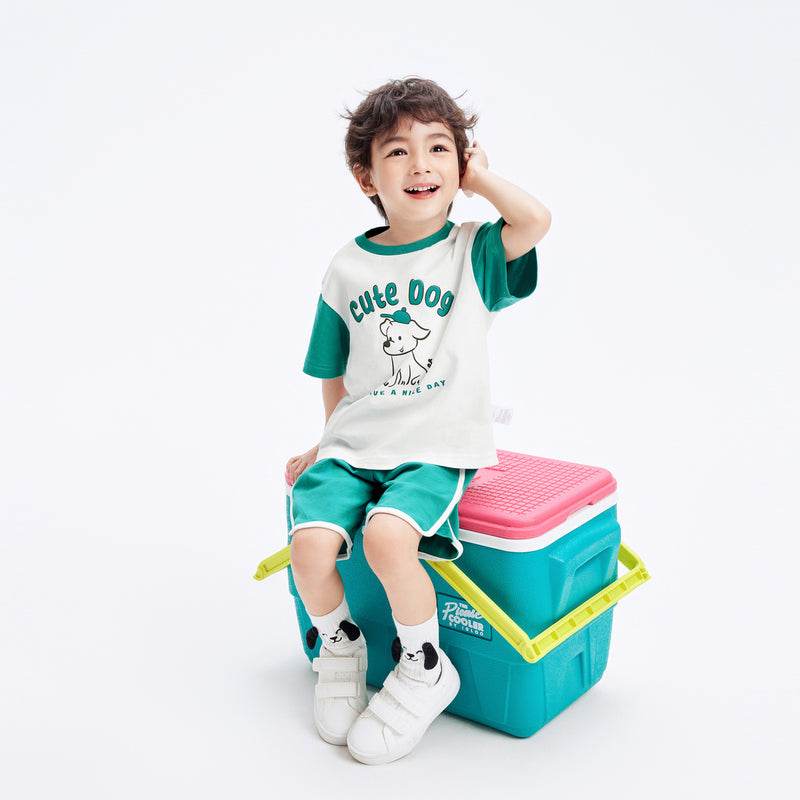 Комплект поло+шорты для мальчиков Balabala - Boxette Shop