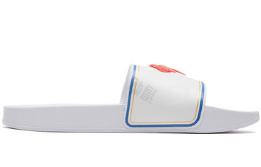 Puma Leadcat ayollar flip-floplari