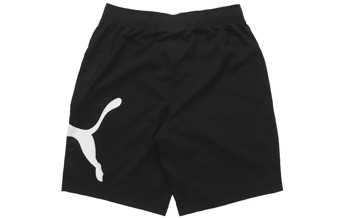 Шорты мужские Puma ESS Logo Print - Boxette Shop