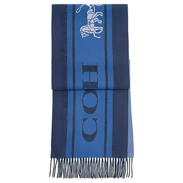 Шарф Coach - Boxette Shop