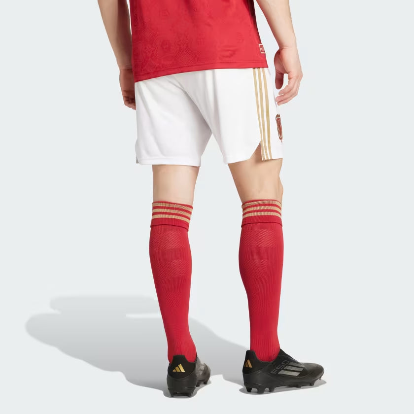 Спортивные шорты мужские Adidas Originals Anniversary FC Bayern