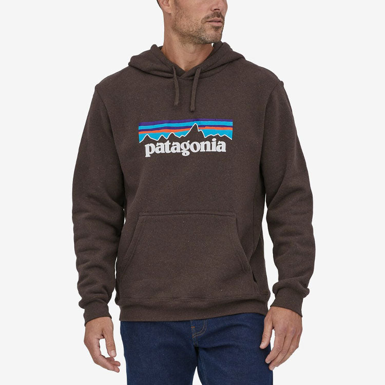 Худи Patagonia SS22