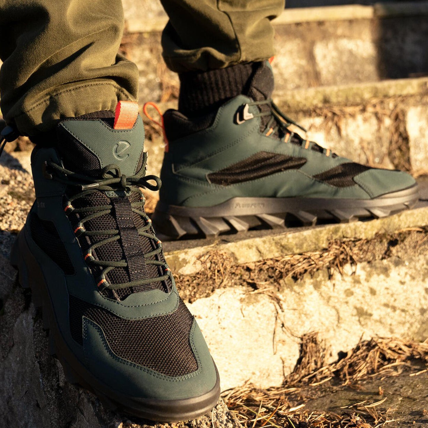 Ботинки мужские Ecco