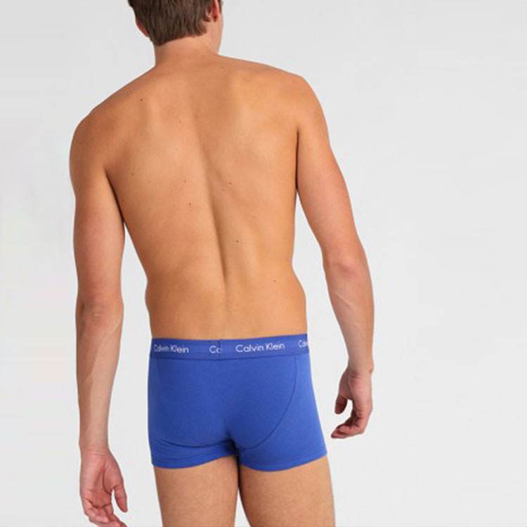 Трусы мужские Calvin Klein (2 шт.) - Boxette Shop