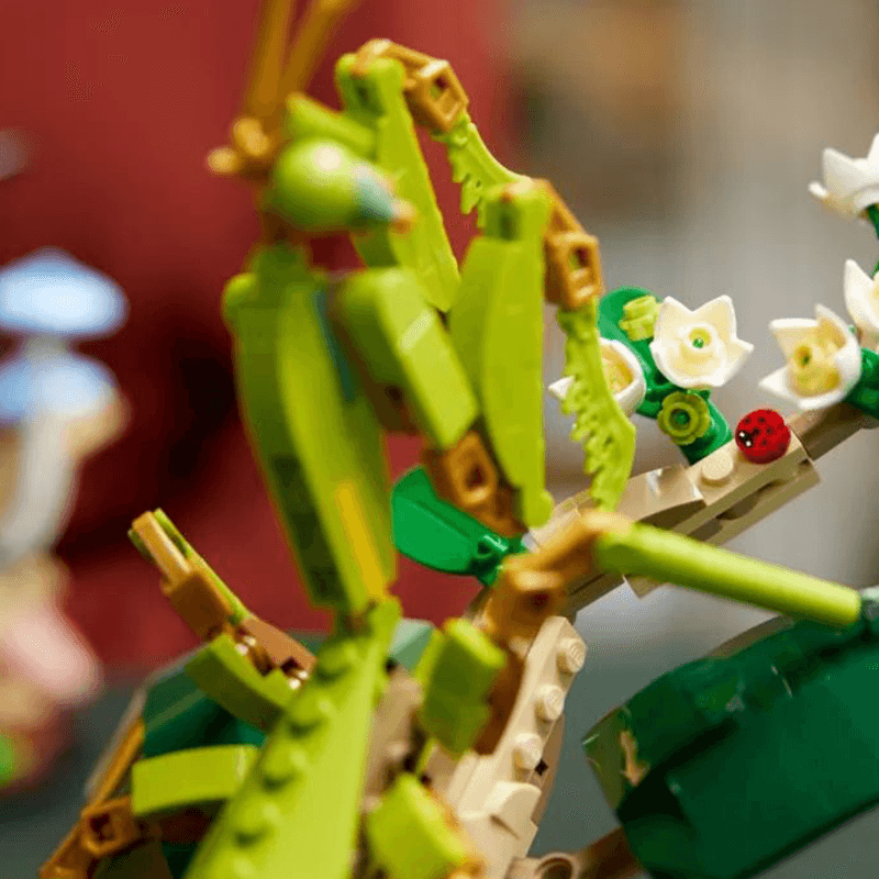 Конструктор LEGO The Insect Collection (21342-1) - Boxette Shop