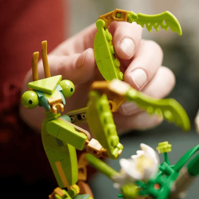 Конструктор LEGO The Insect Collection (21342-1) - Boxette Shop