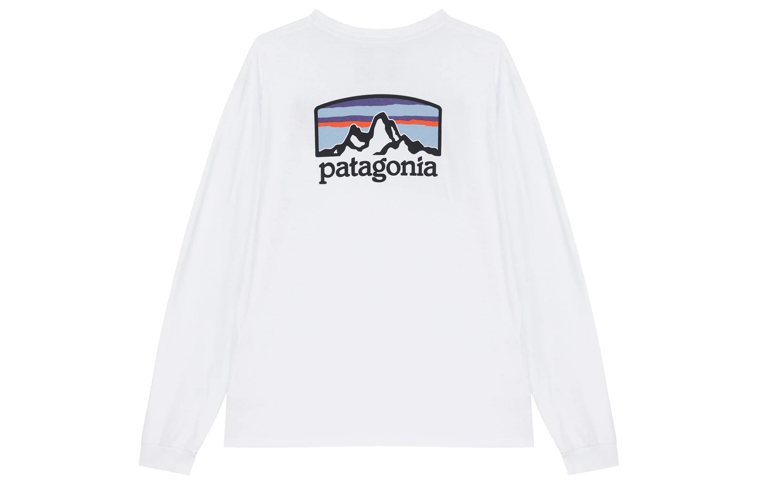 Лонгслив мужской Patagonia - Boxette Shop