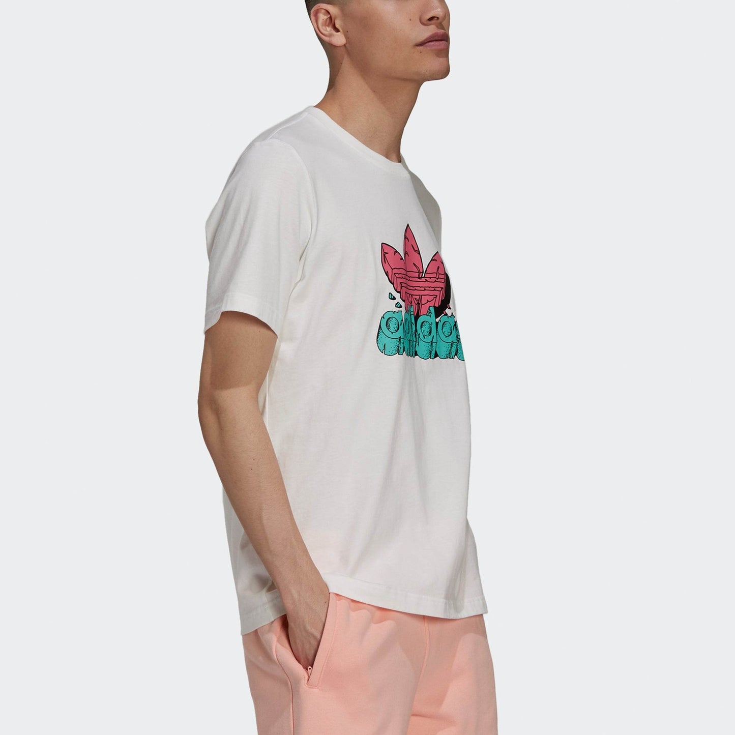 Футболка мужская Adidas Originals Shamrock 5 As Jurassic Theme - Boxette Shop