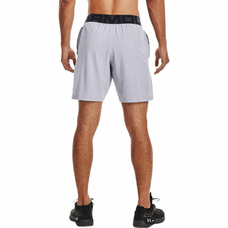 Спортивные шорты under armour woven collection с принтом логотипа мужские серые