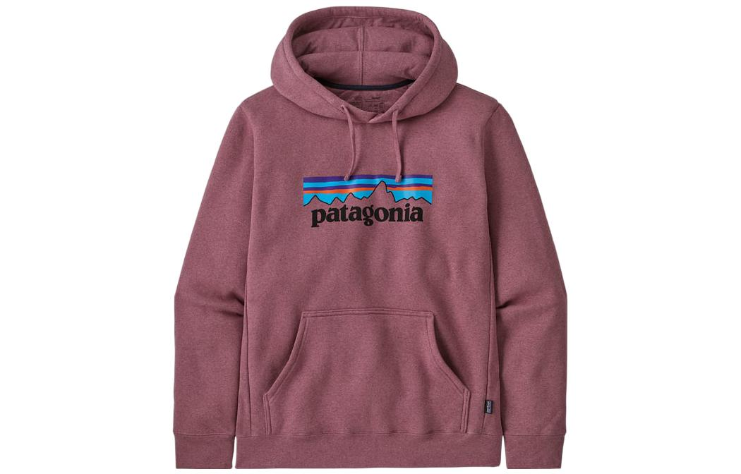 Худи Patagonia SS22