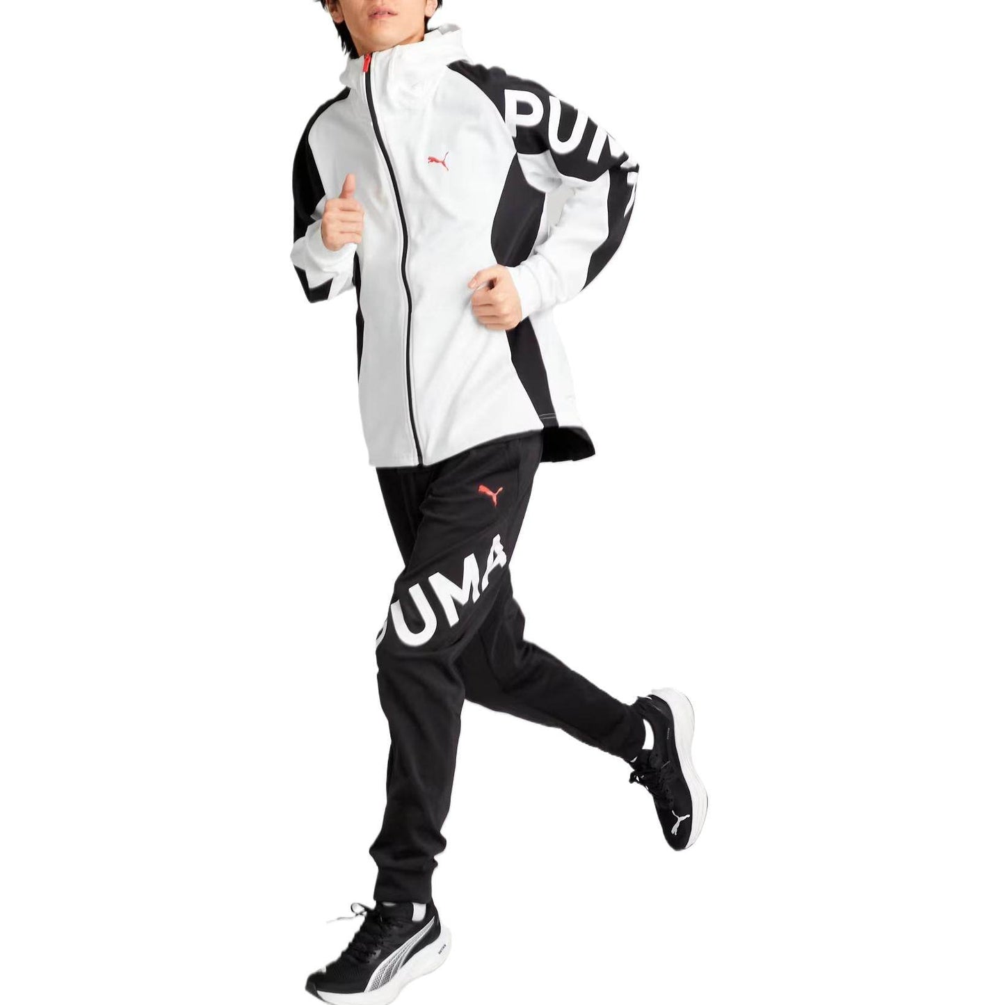 Спортивные брюки мужские Puma Tad - Boxette Shop