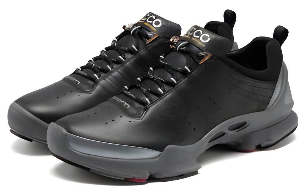 Кроссовки Ecco Aibu Biom C - Boxette Shop