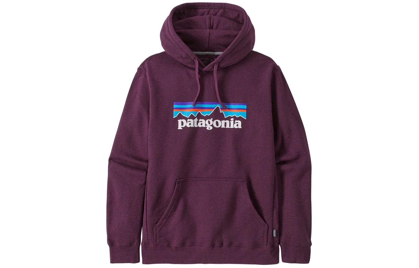 Худи Patagonia SS22