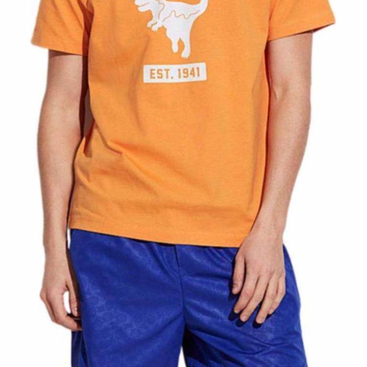 Футболка мужская Coach Fw22 - Boxette Shop