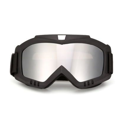 Очки горнолыжные PULAIS