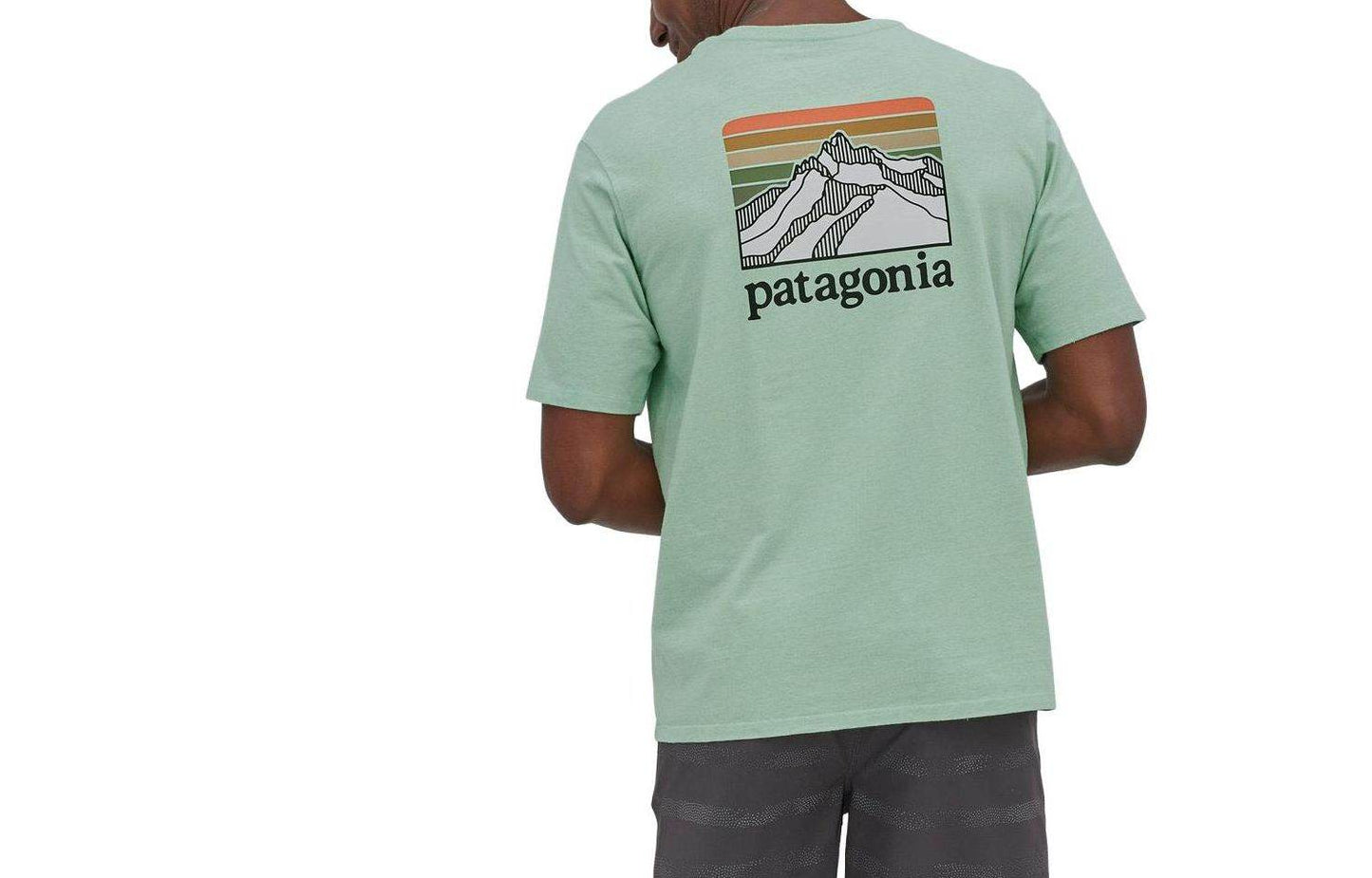 Футболка мужская Patagonia с логотипом - Boxette Shop