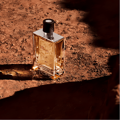 Духи мужские Hermès Terre d'Hermès - Boxette Shop