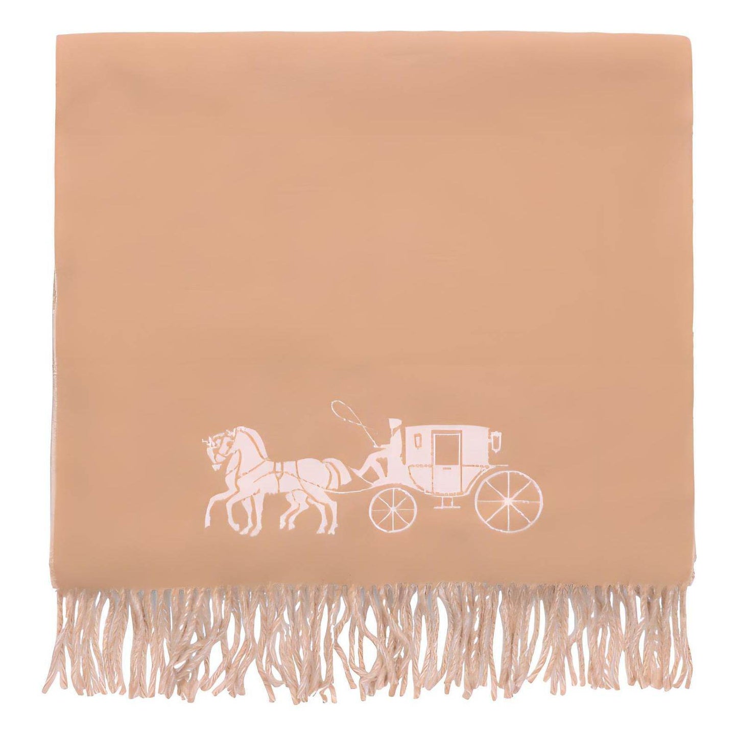 Шарф Coach - Boxette Shop