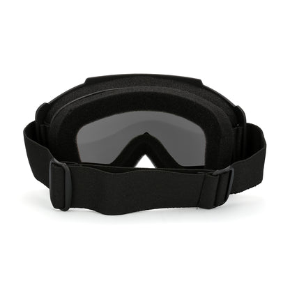 Очки горнолыжные PULAIS