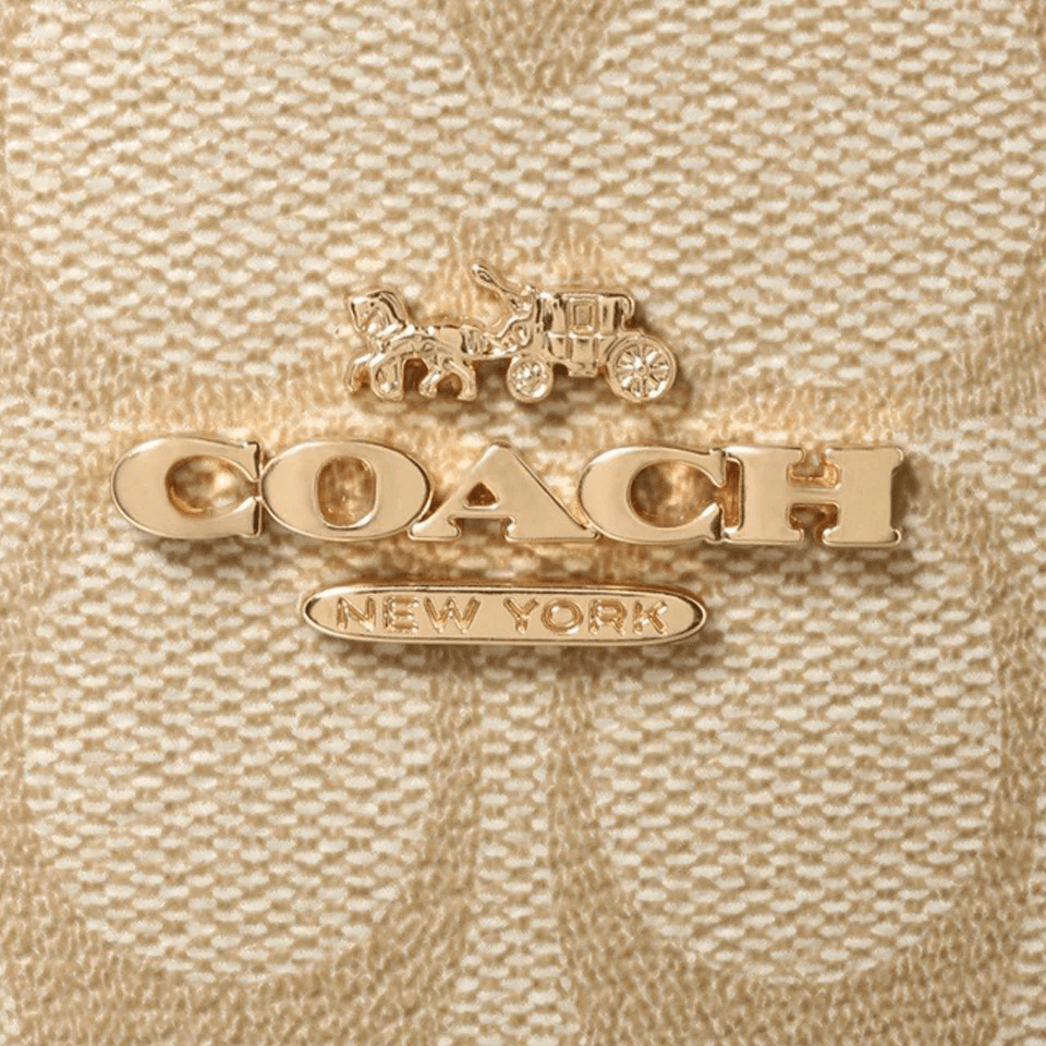 Сумка женская Coach City 33 Classic Old Flower - Boxette Shop