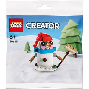 LEGO cho'ntak qordan odam (30645)