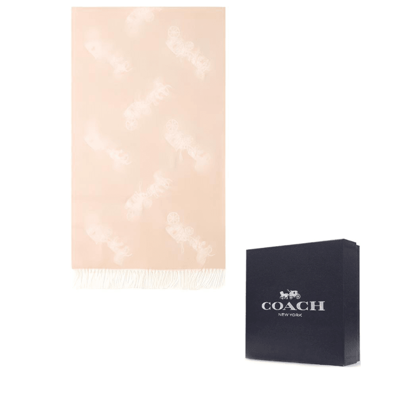 Шарф Coach - Boxette Shop