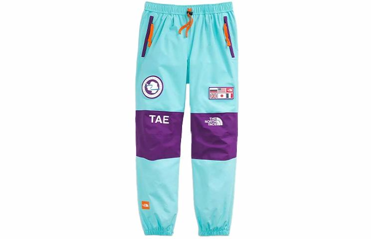 Брюки лыжные мужские The North Face