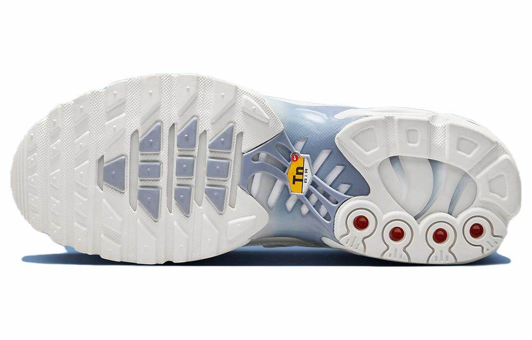 Кроссовки Nike Air Max Plus - Boxette Shop