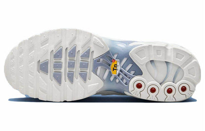 Кроссовки Nike Air Max Plus - Boxette Shop